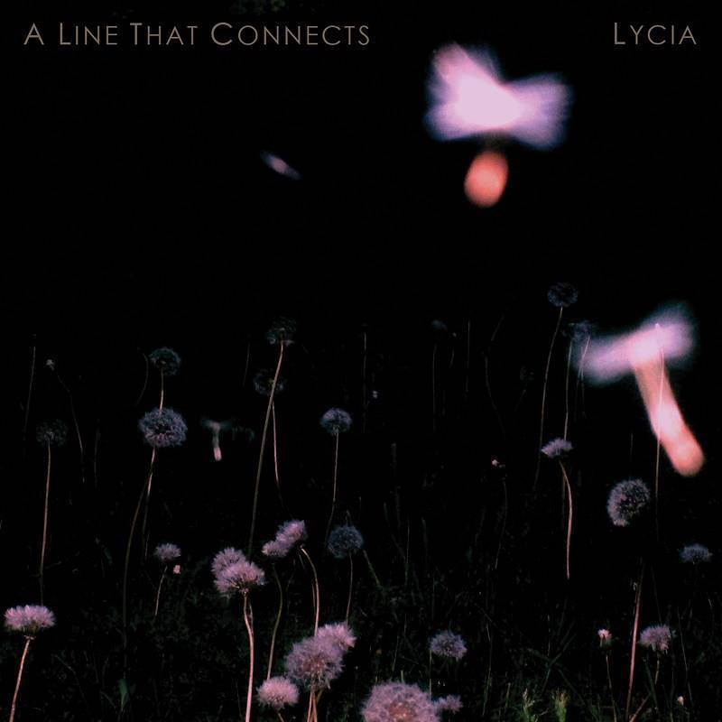 Lycia A line that connects